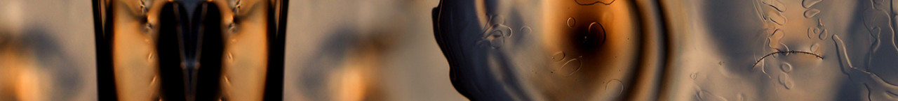 HOUSE OF HOLISTIC HEALTH