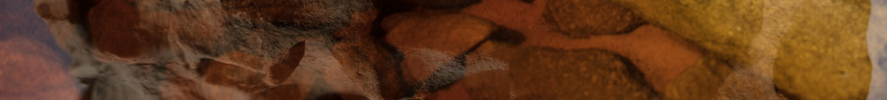 HOUSE OF HOLISTIC HEALTH