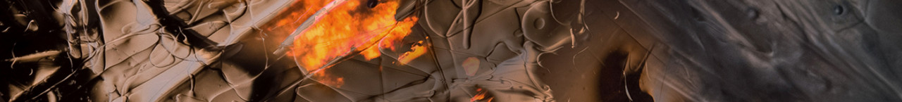 HOUSE OF HOLISTIC HEALTH